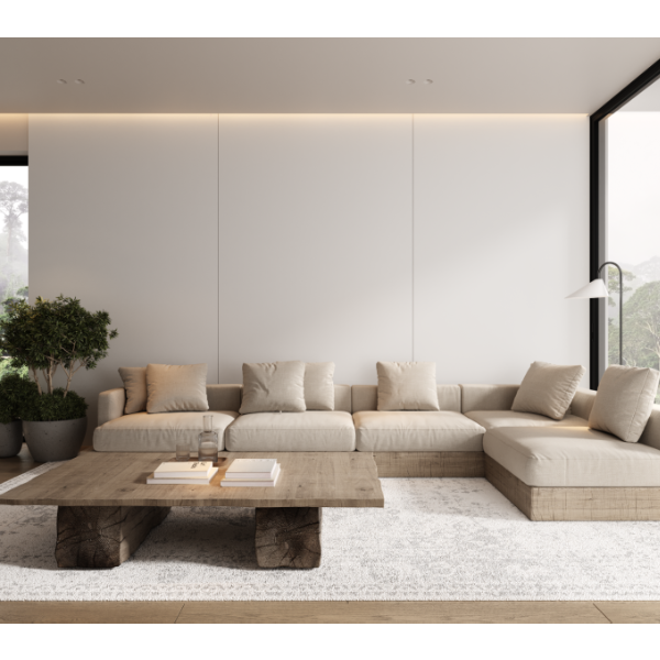 Design and Vision